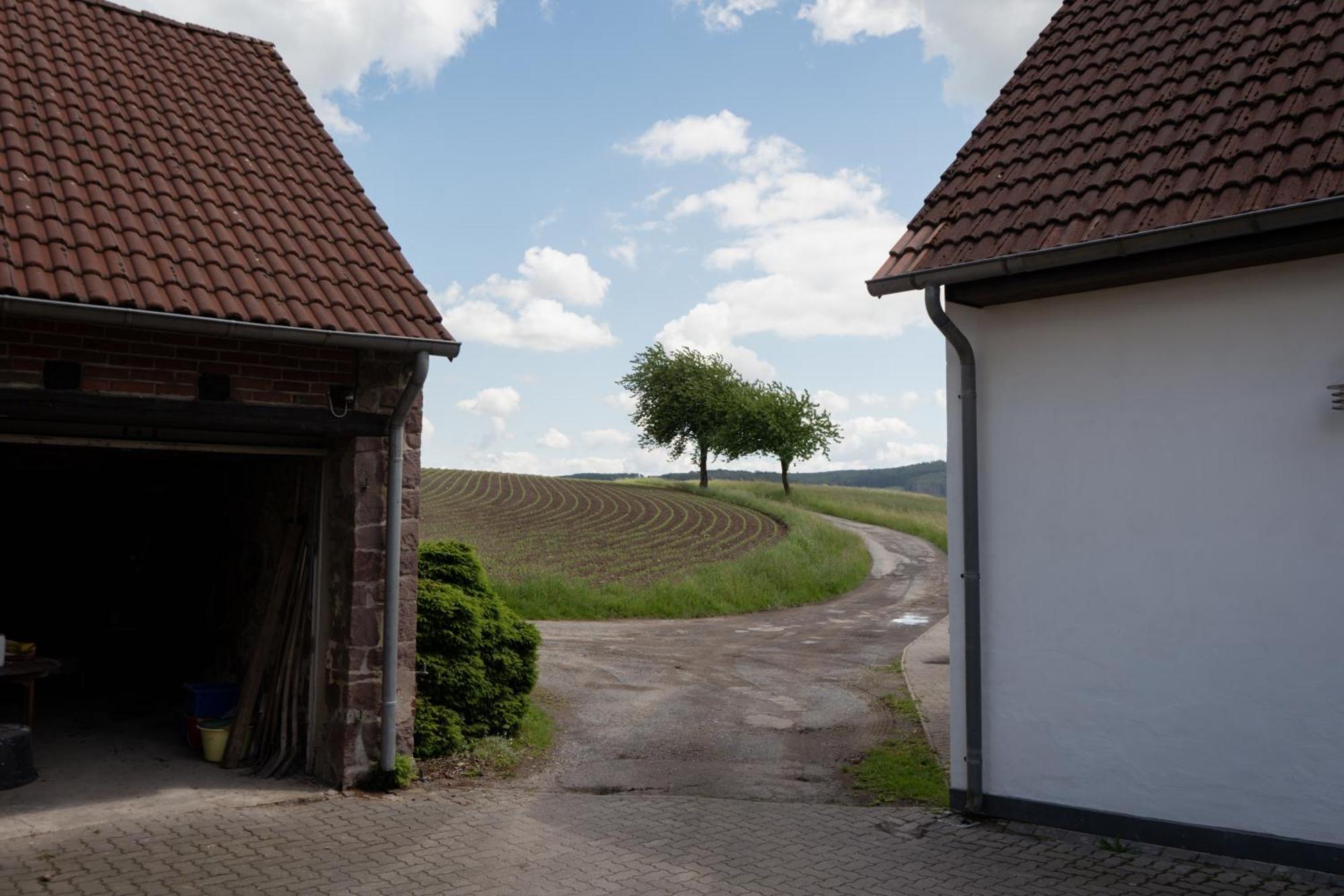 Idyllische Ferienwohnung Im Kalletal Екстер'єр фото